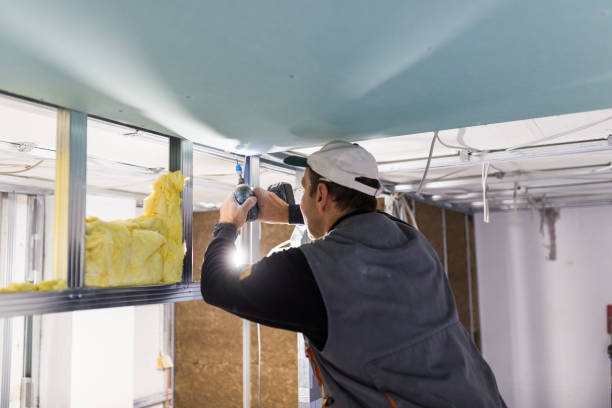 Best Eco-Friendly or Green Insulation Solutions  in Earlimart, CA